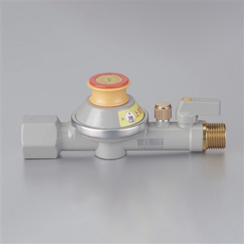 Combination Gas Valve Combination Gas Valve